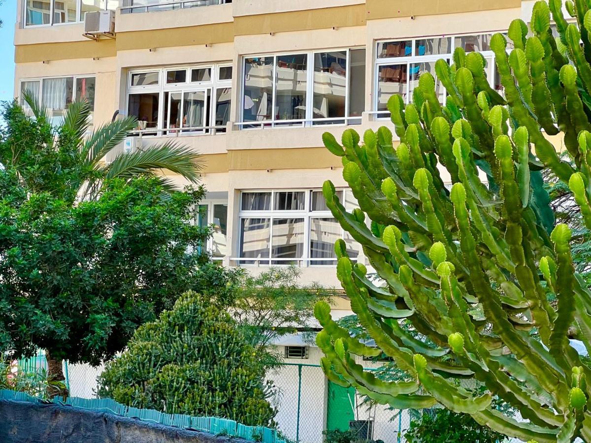Cozy Apartment Near Yumbo 普拉亚戴尔雷安格莱斯 外观 照片